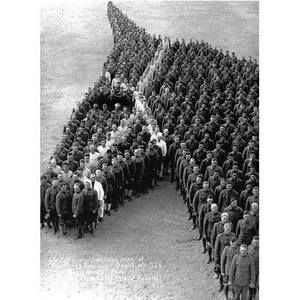 Meet your Posher, Adriana